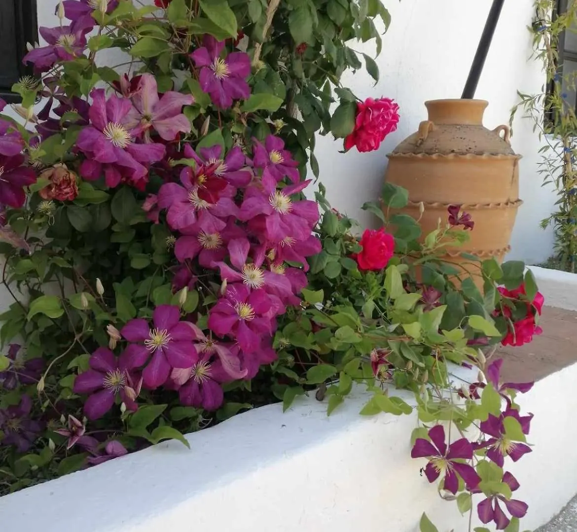 Holiday home Casa Miguel Montefrio Villa Granada Spain