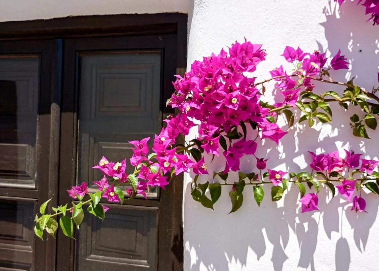 Casa Miguel Montefrio Villa Granada Holiday home